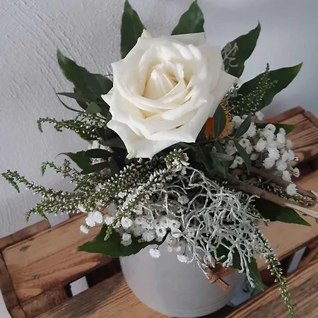 Zur Basemicke * سشمالنبرغ