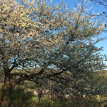 شقة Zur Basemicke