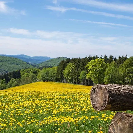 Zur Basemicke شقة