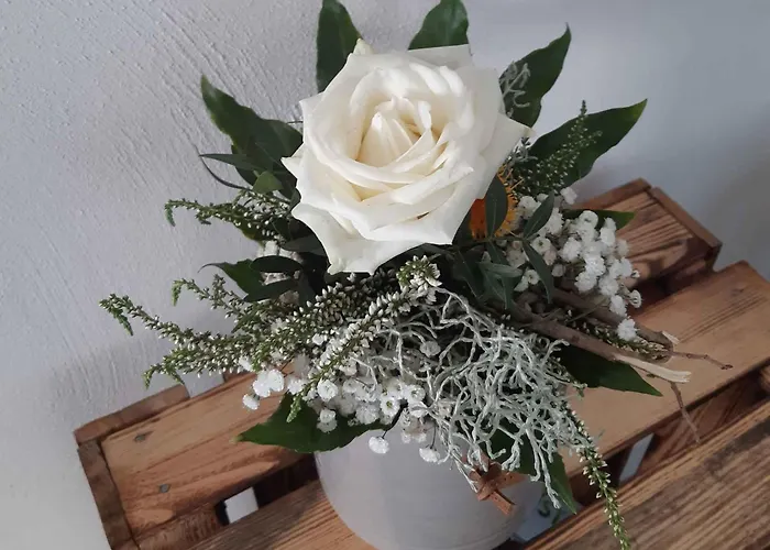 Zur Basemicke * Schmallenberg