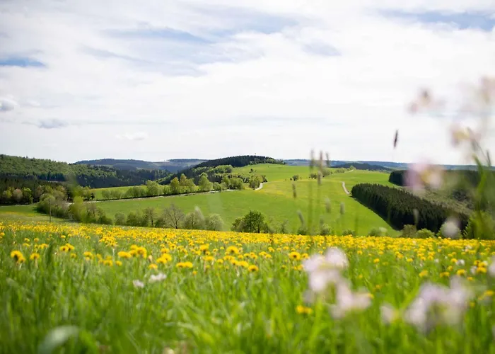 Daire Zur Basemicke Schmallenberg